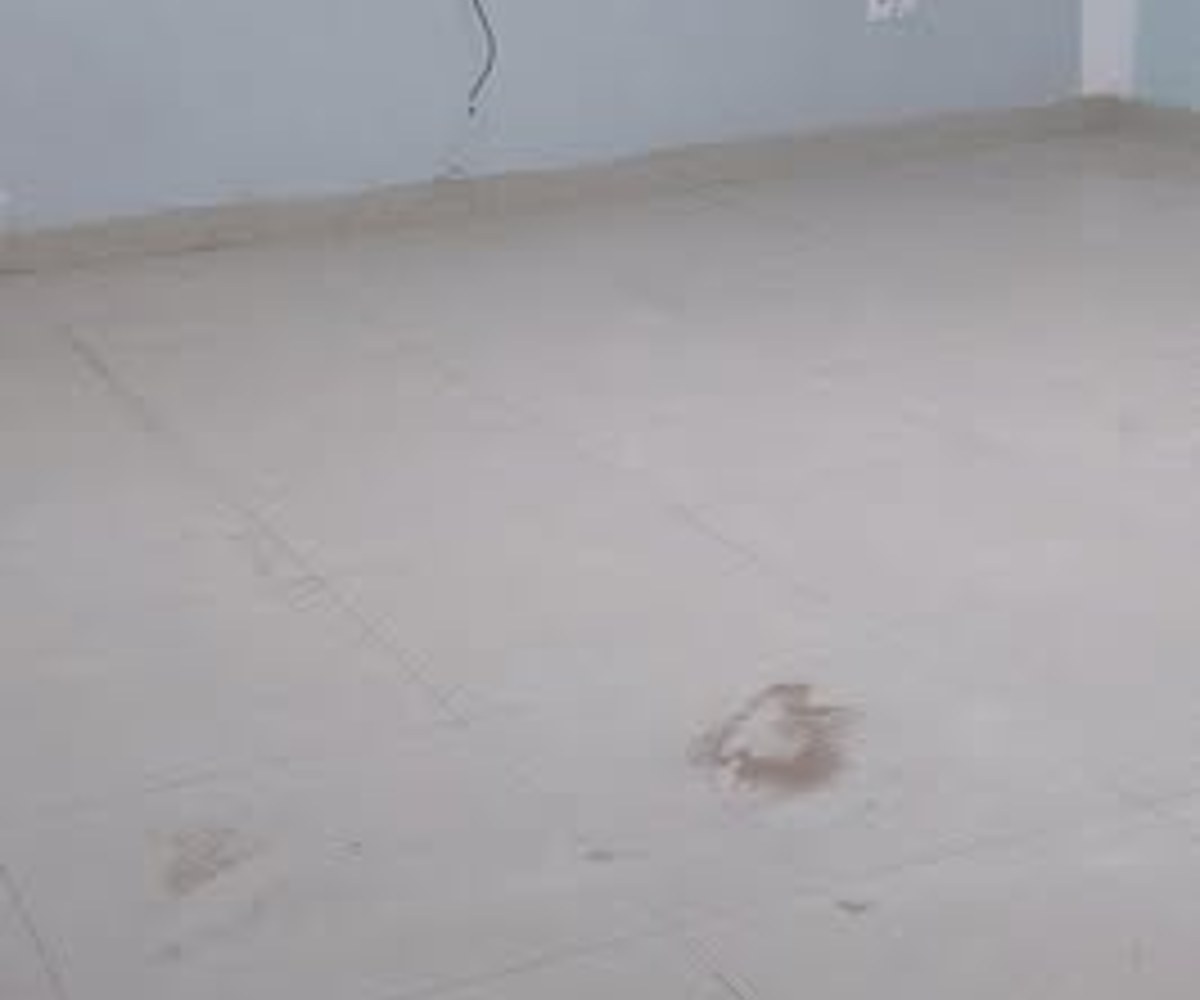 Studio à louer à Ndogpassi, Douala