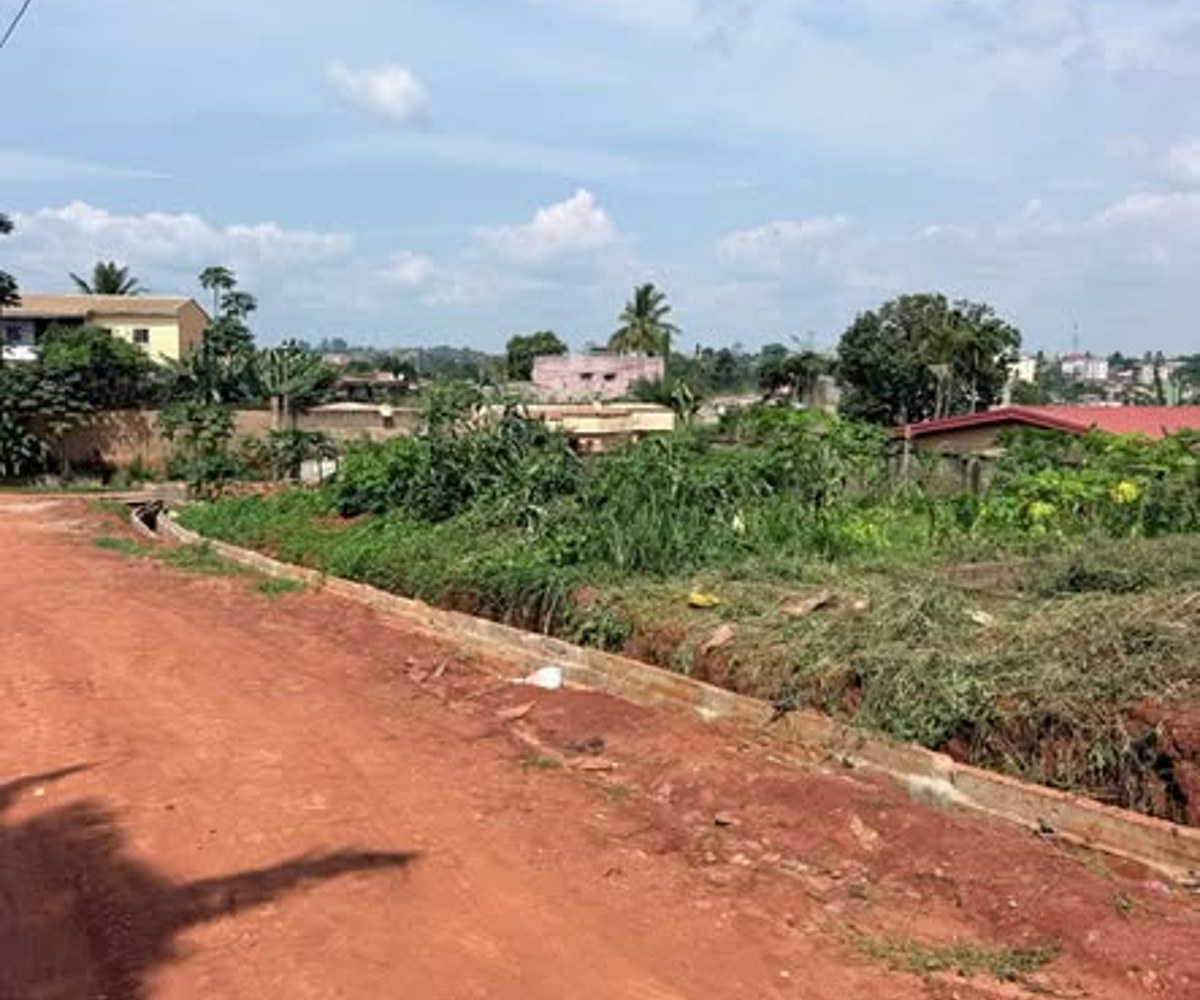 Terrain titré plat à vendre - Yaoundé Eleveur