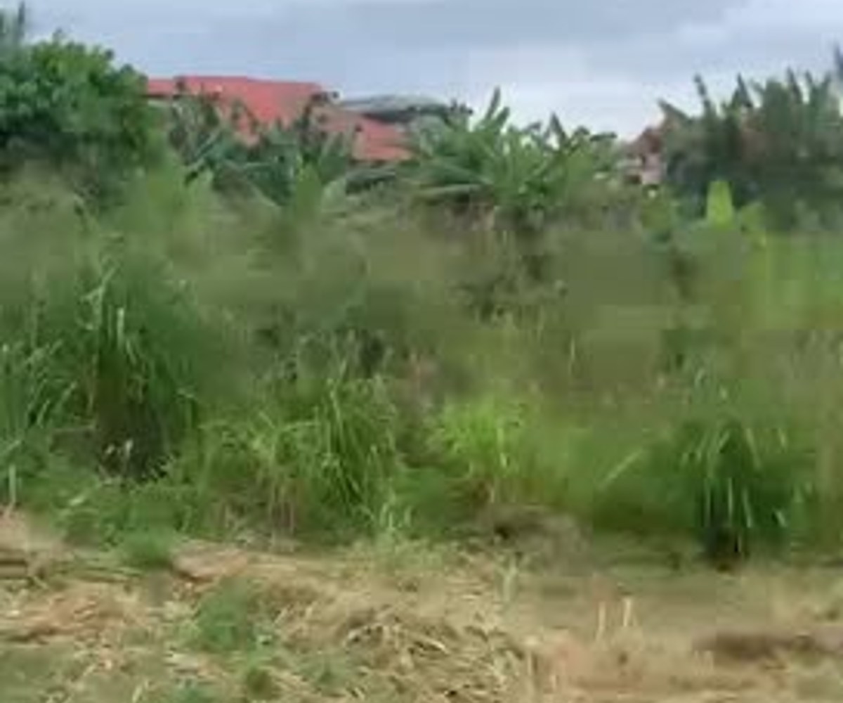 Terrain titré en vente - Nkolda, Yaoundé