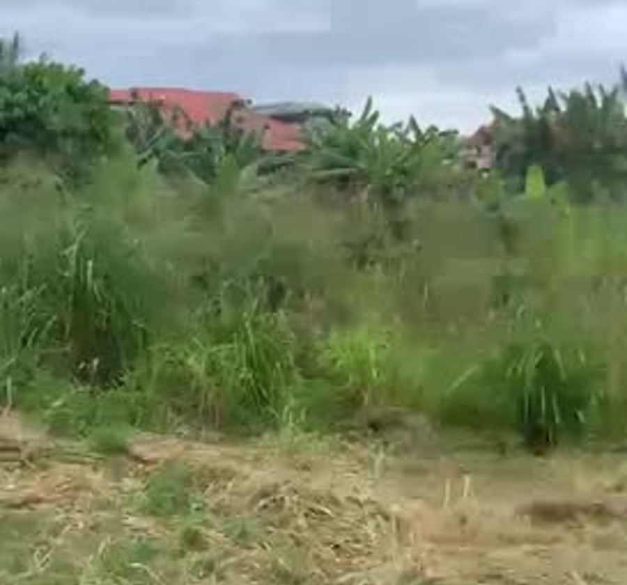 Terrain titré en vente - Nkolda, Yaoundé
