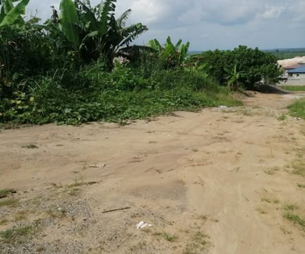 Terrain de 493 m² à vendre à Mbanga Bakoko (Douala Horizon)