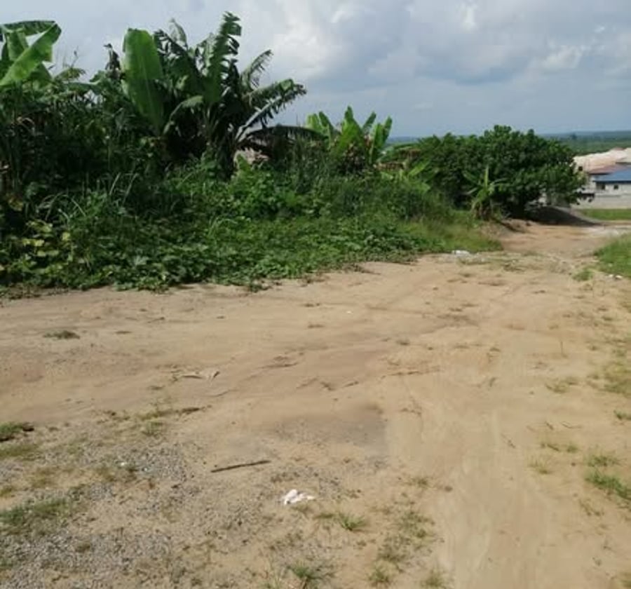 Terrain de 493 m² à vendre à Mbanga Bakoko (Douala Horizon)