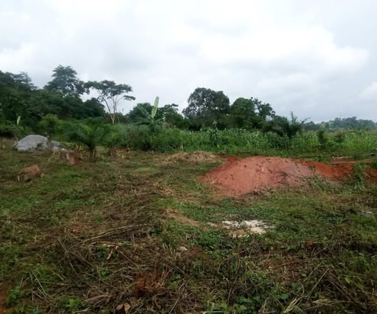 Terrain titré 600m² à Leboudi