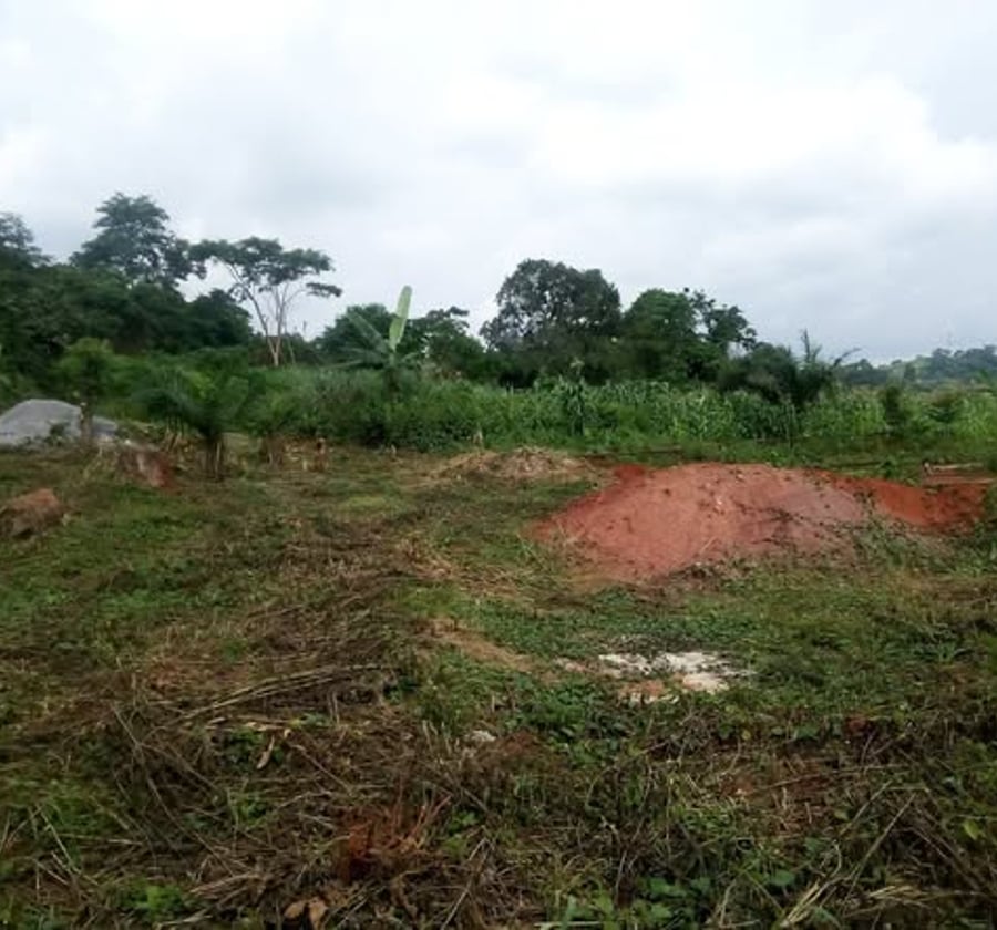 Terrain titré 600m² à Leboudi