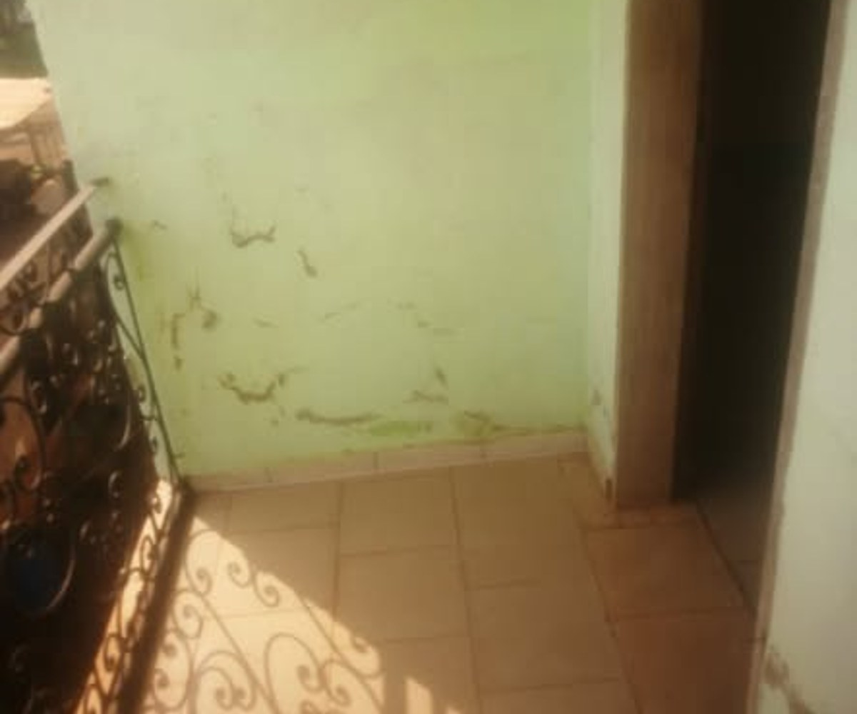 Vaste Appartement moderne à louer - Carrefour Mindef, Nkomo