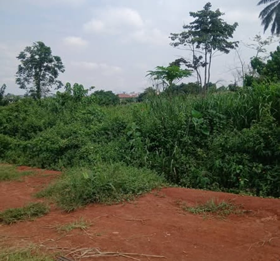 Terrain à vendre à Odza - 300 m²