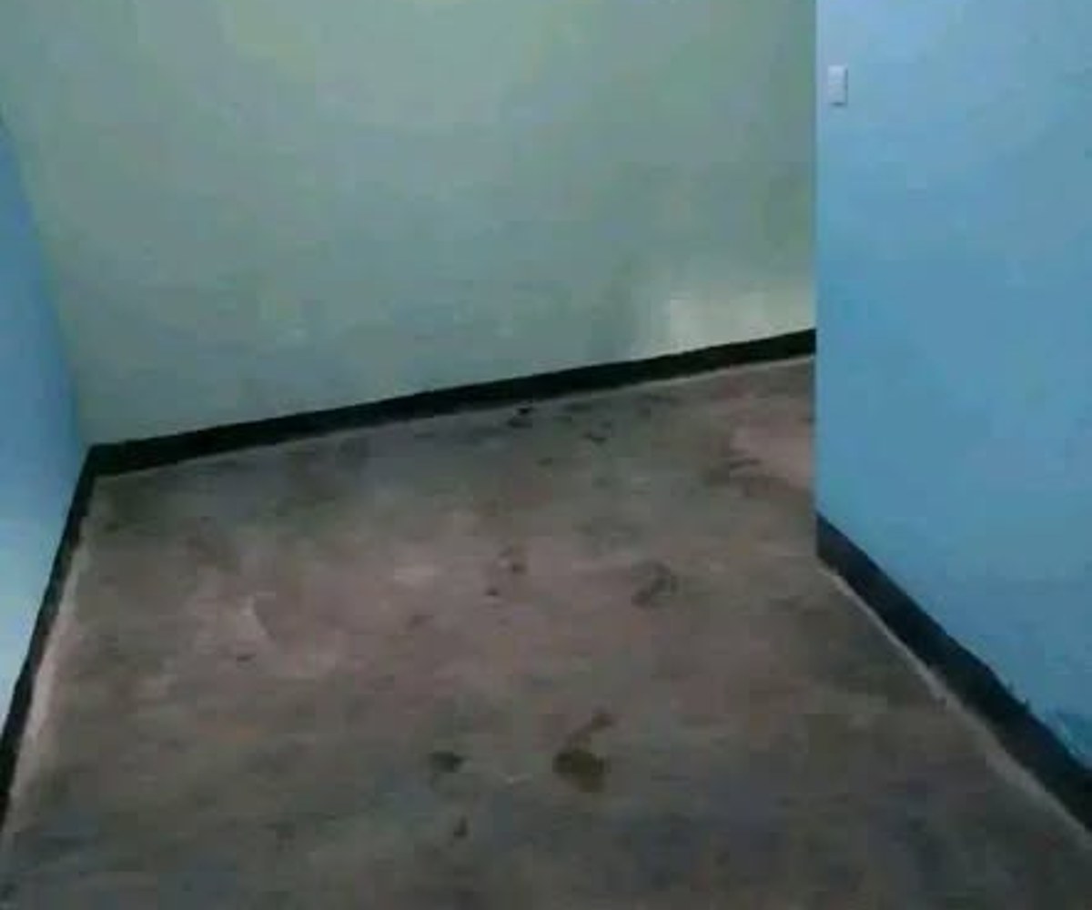 Studio moderne 4 pièces - Mimboman