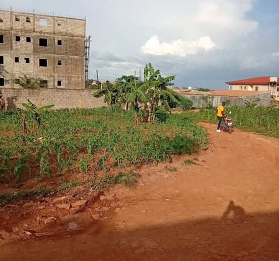 Terrain titré à vendre à Olembe (Yaoundé)
