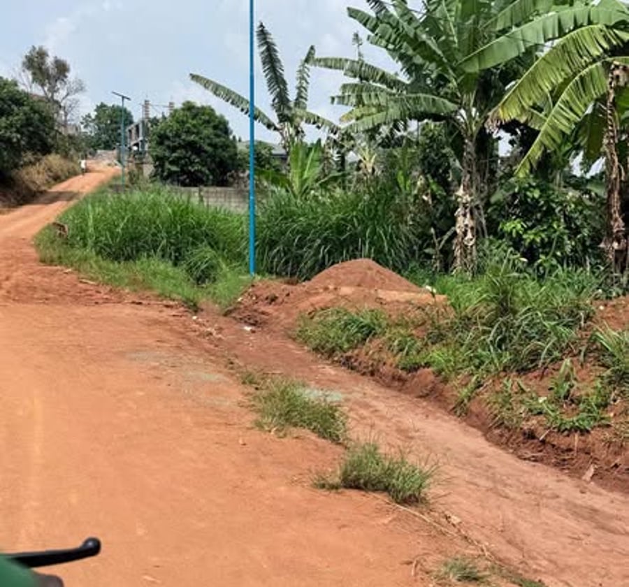 Terrain titré plat à vendre - Emana, Yaoundé