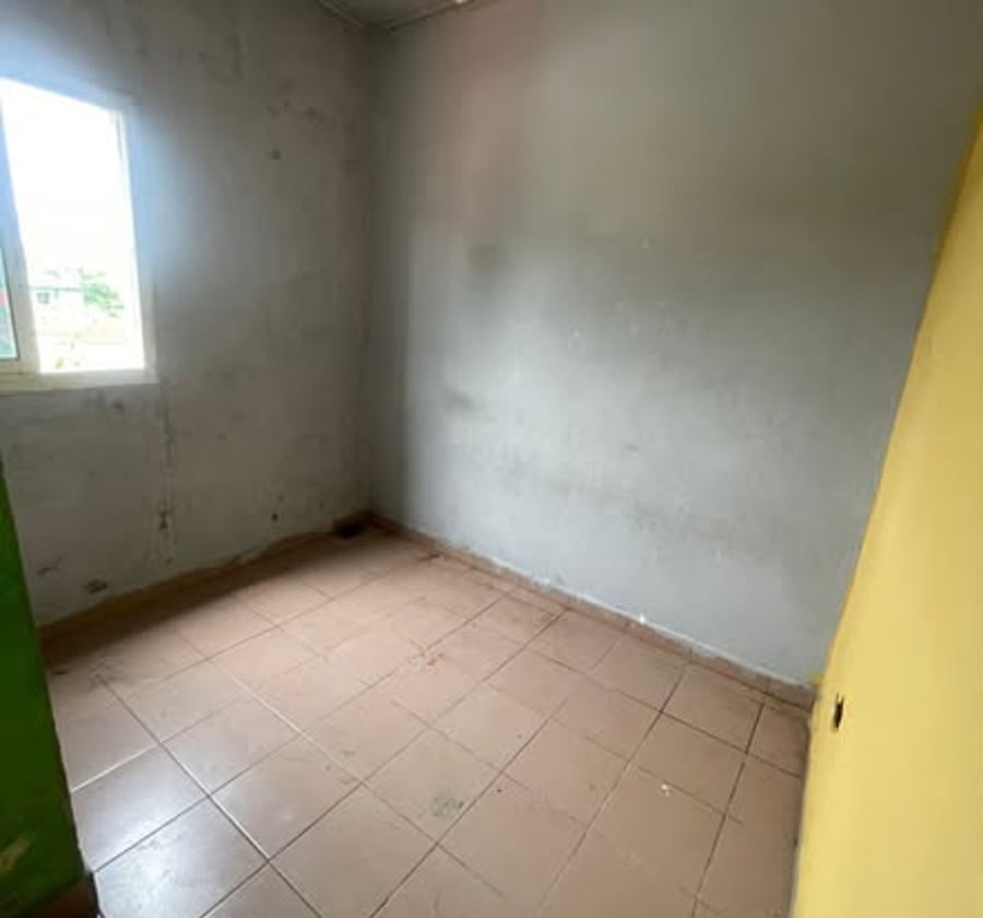 Grand studio moderne - Logpom