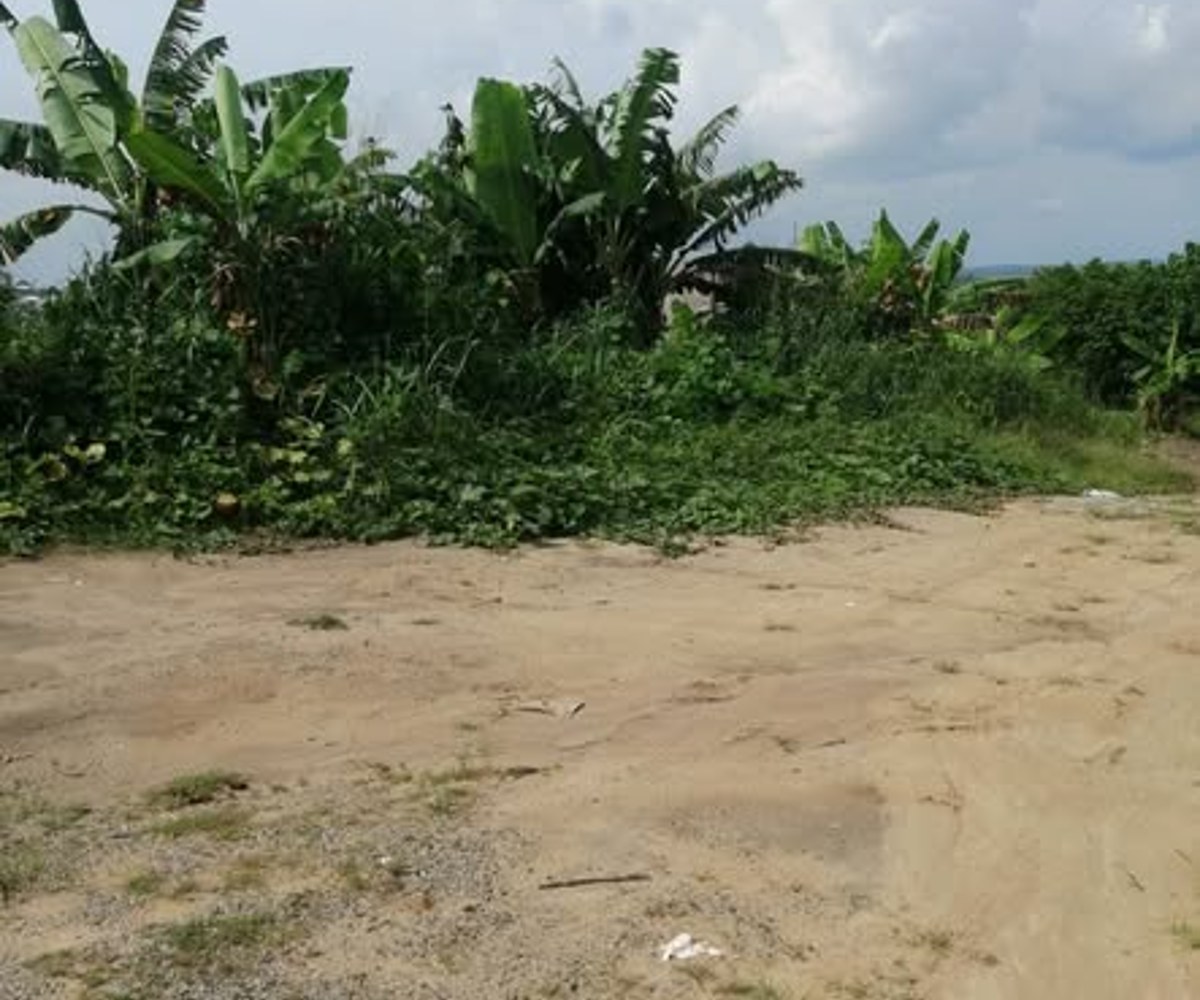 Terrain de 493 m² à vendre à Mbanga Bakoko (Douala Horizon)