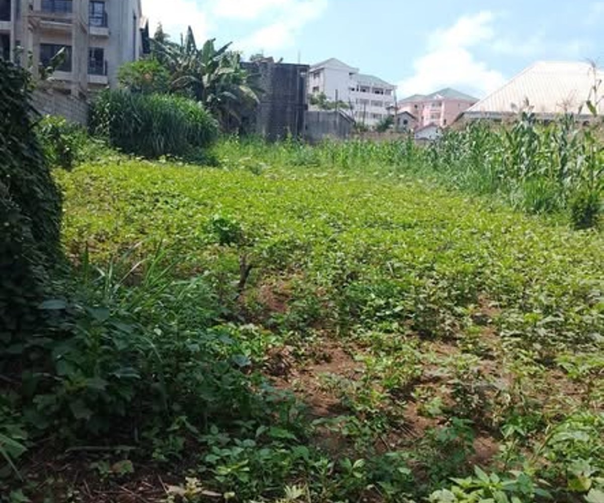 Terrain à vendre à Odza - 400 m²