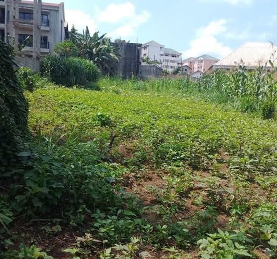 Terrain à vendre à Odza - 400 m²