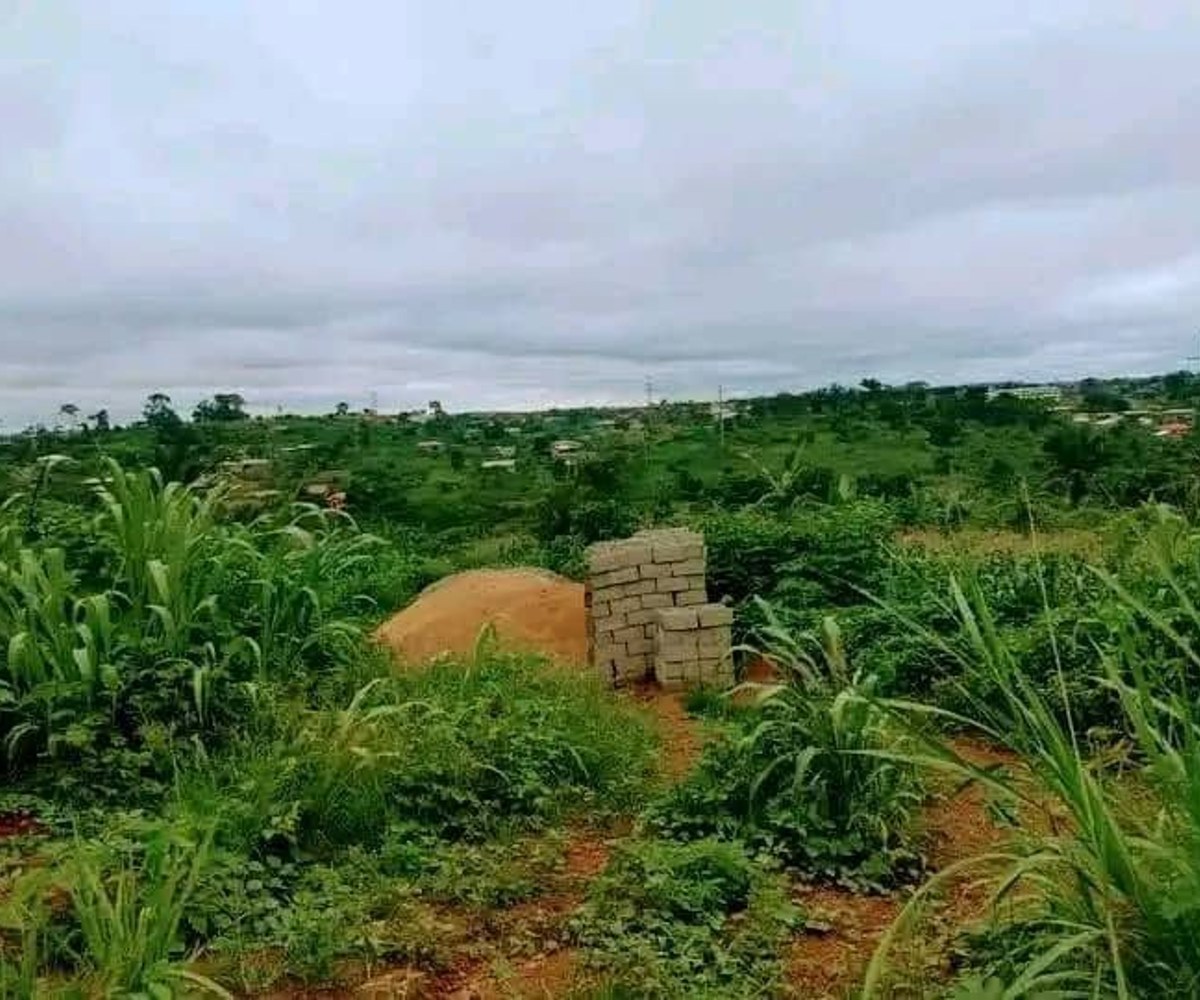 Terrain titré à vendre à Abing, Afanayo, Yaoundé