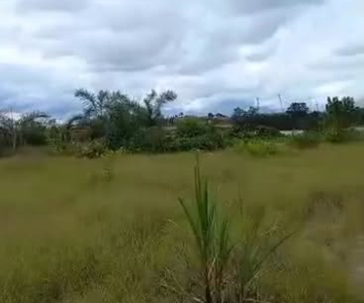 Terrain plat de 5 hectares à Douala Yassa