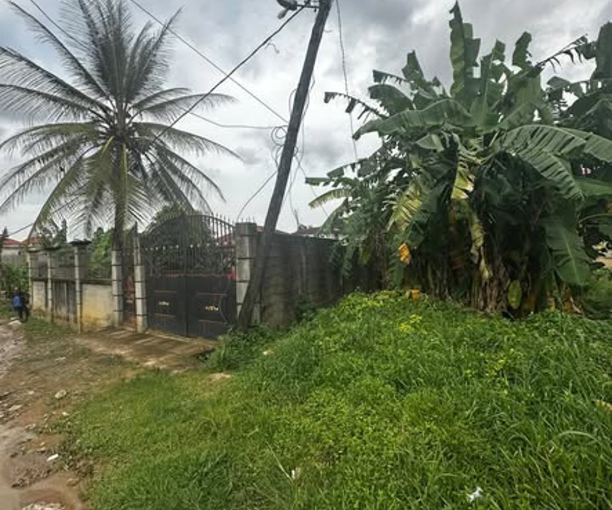 Terrain titré à vendre à Logbessou, Douala