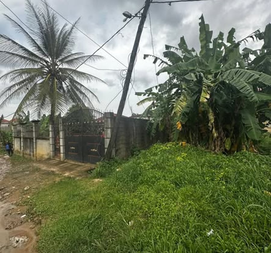 Terrain titré à vendre à Logbessou, Douala