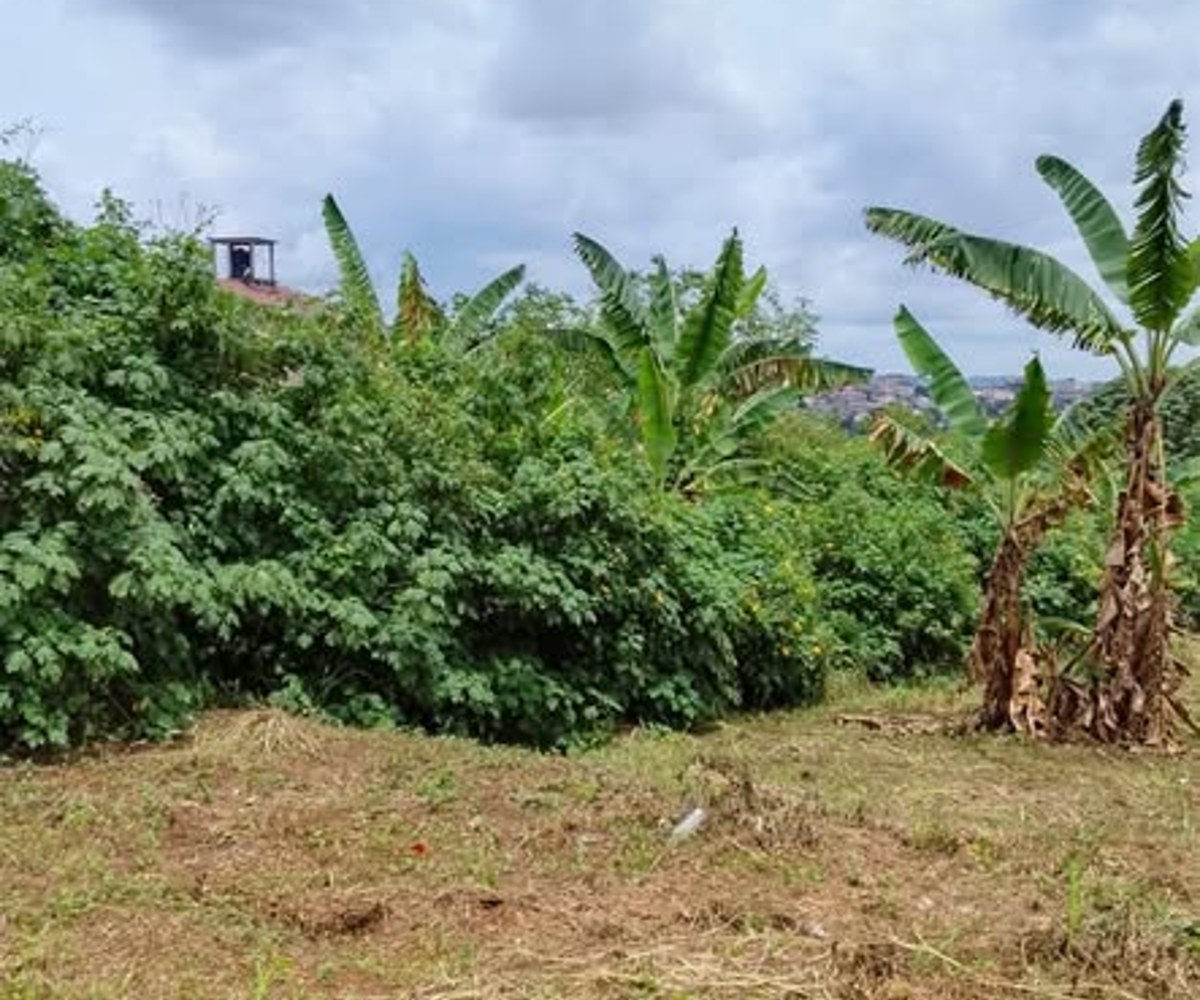 Terrain à vendre - Tropicana, Yaoundé