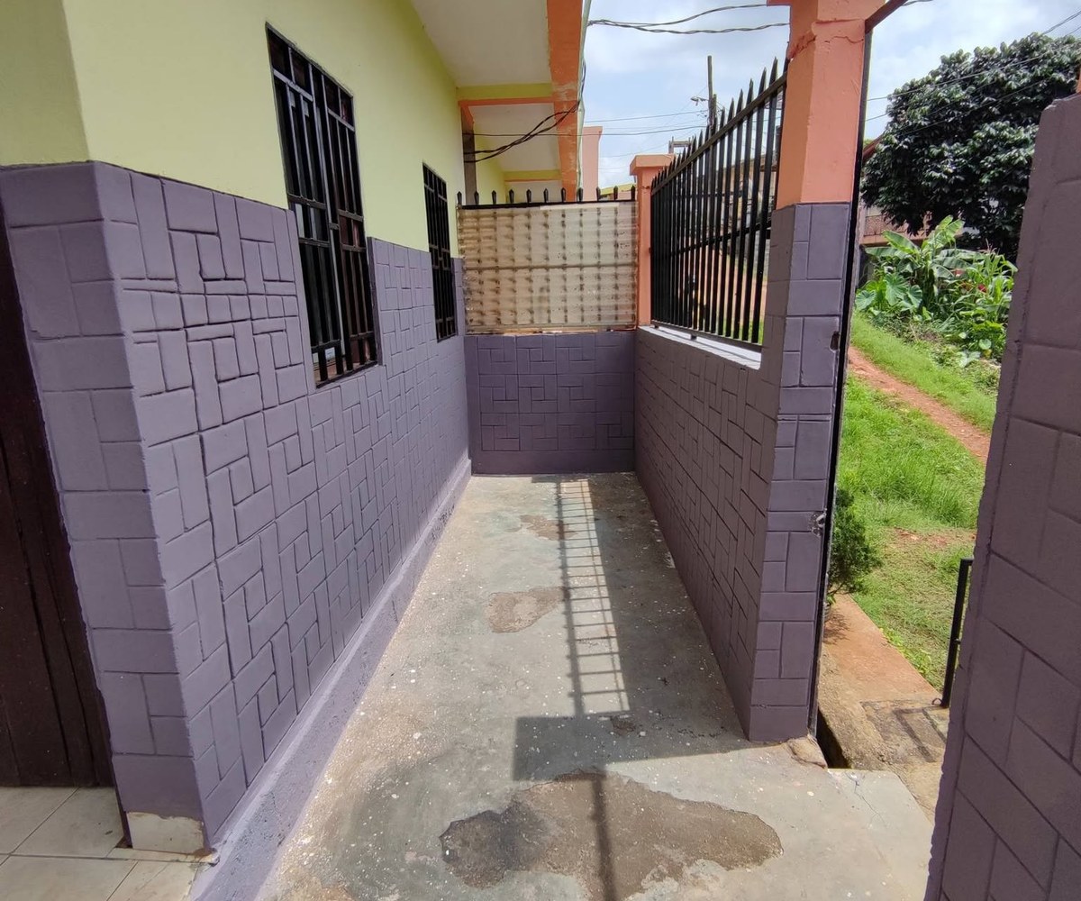 3 appartements modernes rénovés - Yaoundé Hôpital général