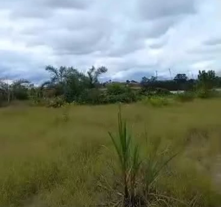 Terrain plat de 5 hectares à Douala Yassa