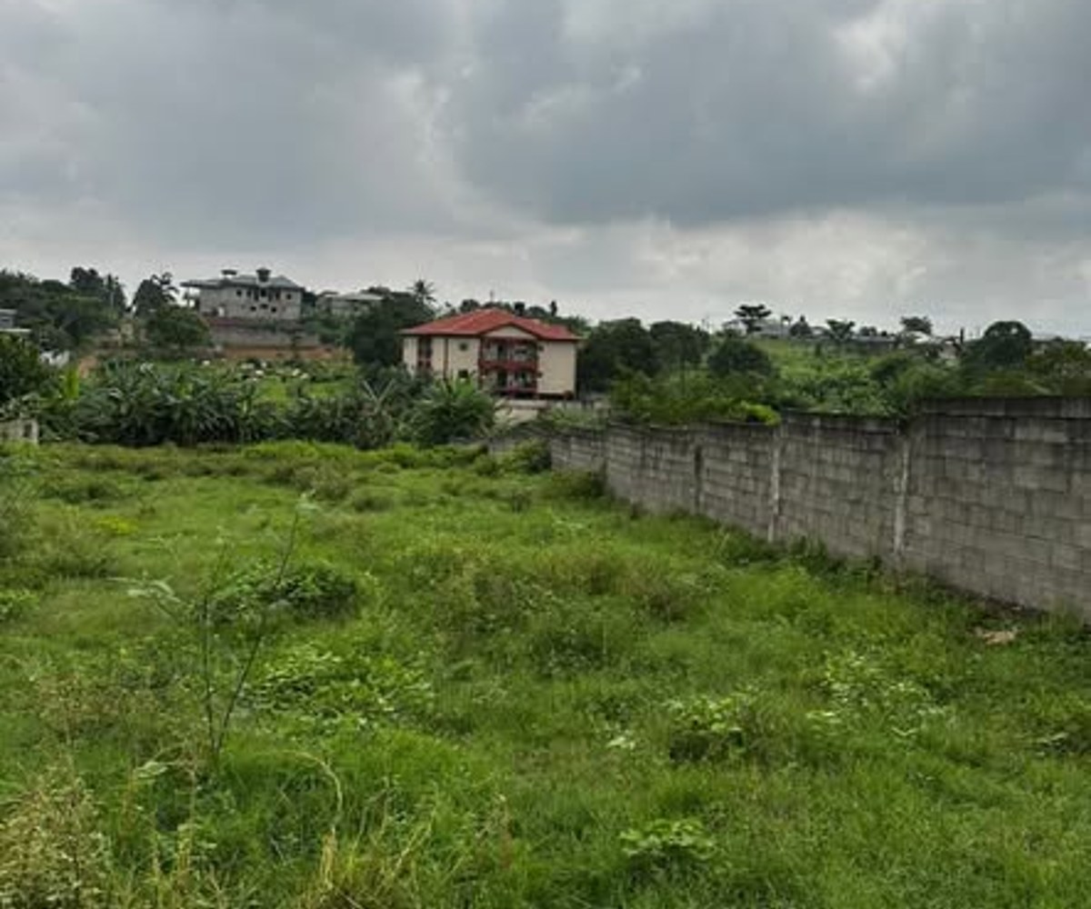 Terrain titré à vendre à Douala – Yassa