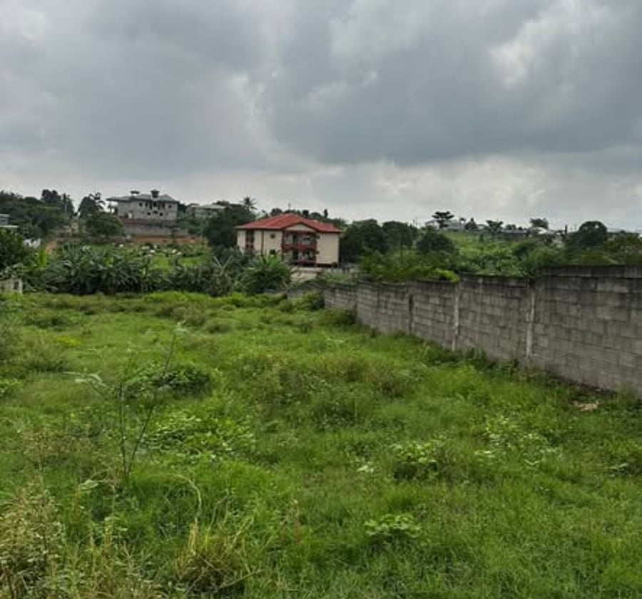 Terrain titré à vendre à Douala – Yassa
