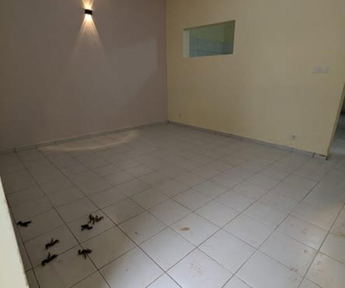 Appartement à louer Ngousso Gényco