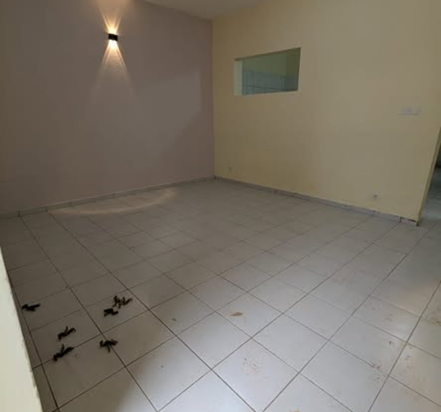 Appartement à louer Ngousso Gényco