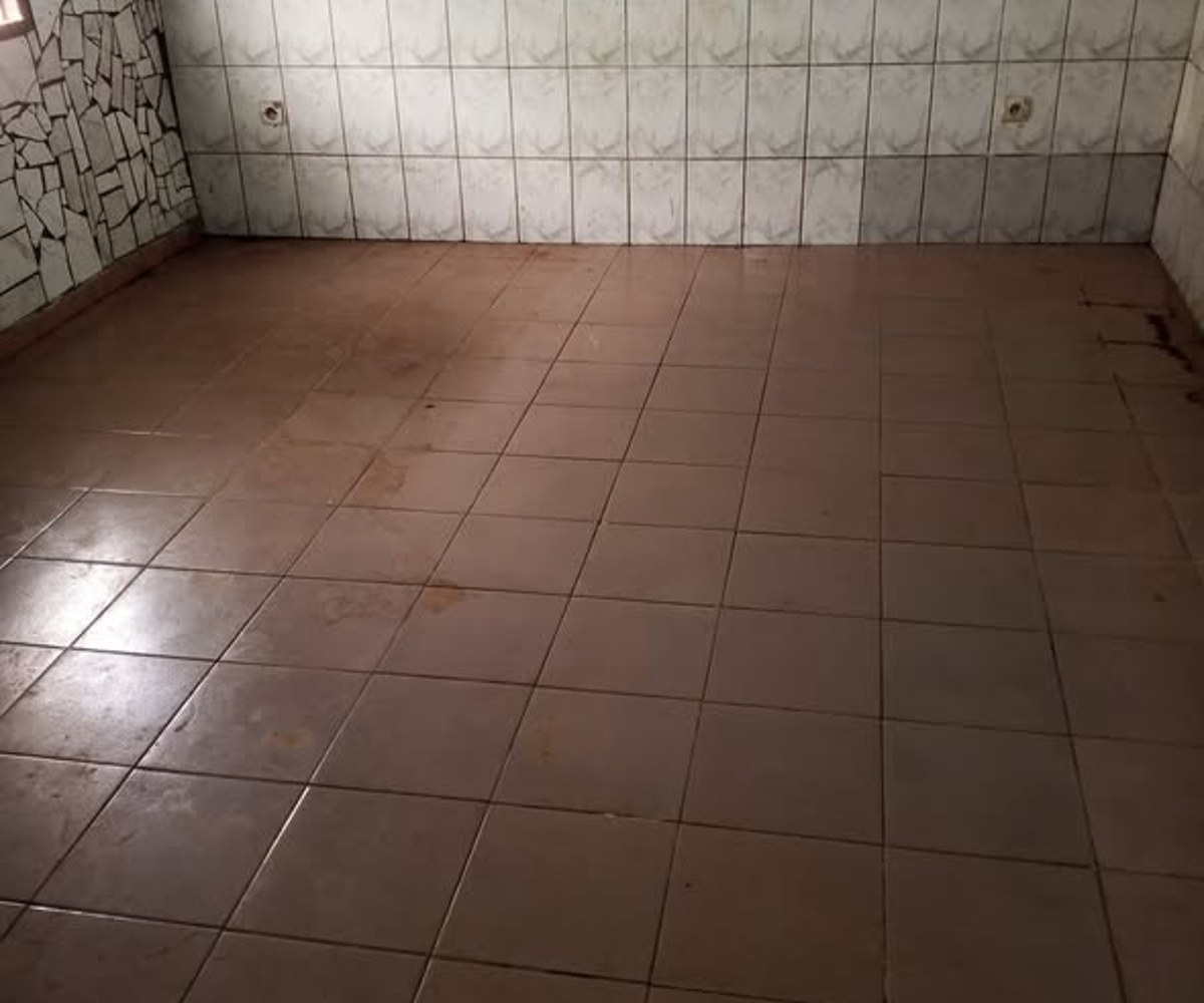 Studio moderne 4 pièces à louer à Ngousso