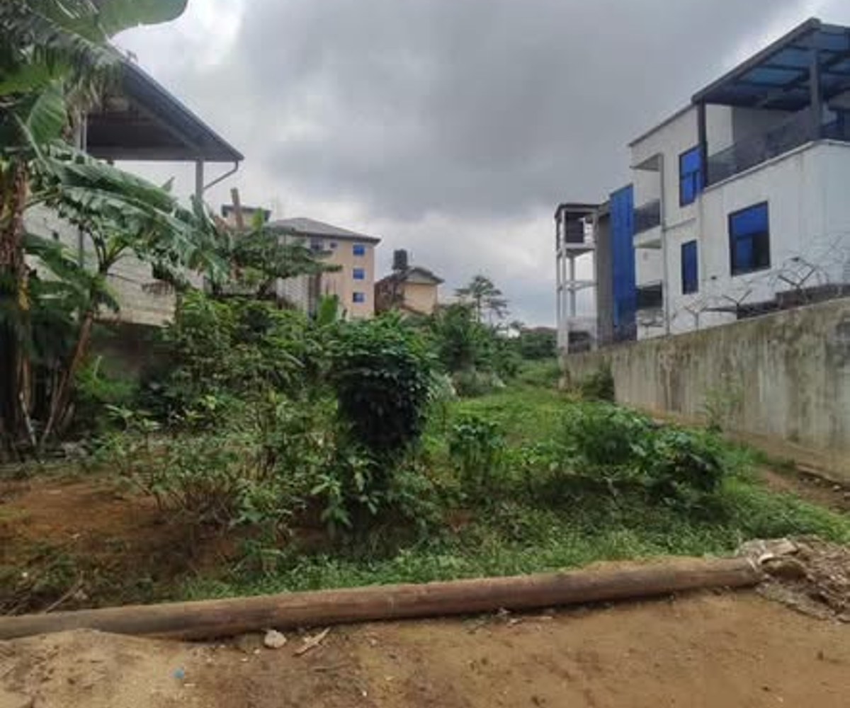 Terrain titré à vendre à Logbessou - 300 m²