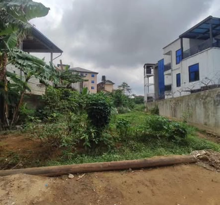 Terrain titré à vendre à Logbessou - 300 m²