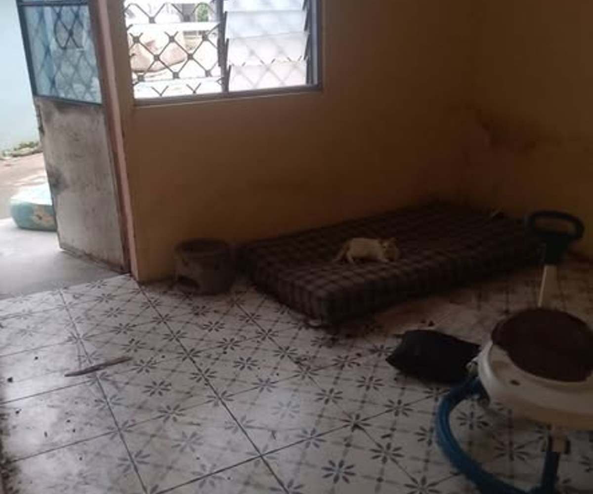 Appartement moderne à louer à Douala Logbaba Carrière