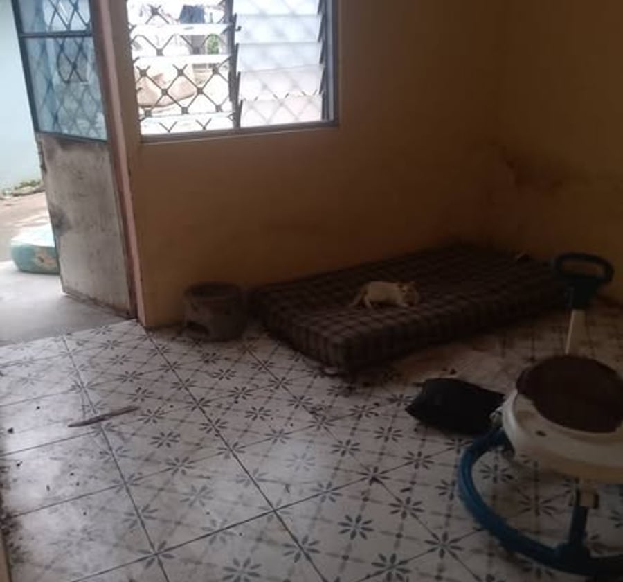 Appartement moderne à louer à Douala Logbaba Carrière