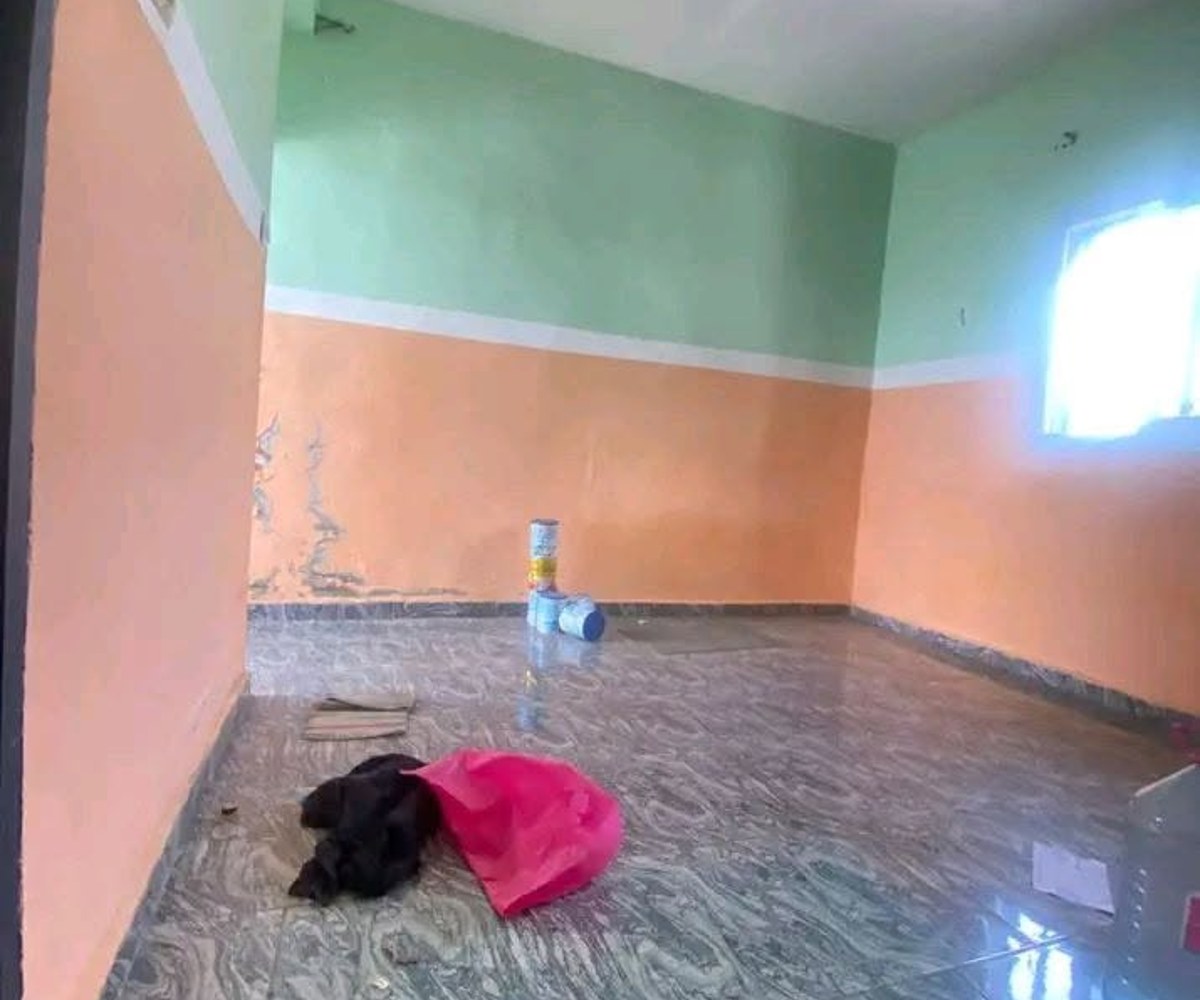 Joli Studio Moderne Staffé à louer - Akwa Nord, Douala