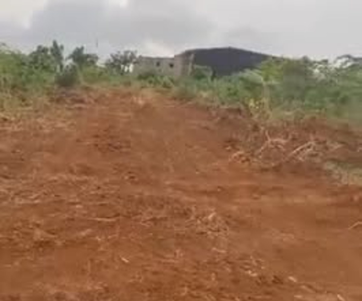 Terrain à vendre à Nkolfoulou, Yaoundé - 250 m²