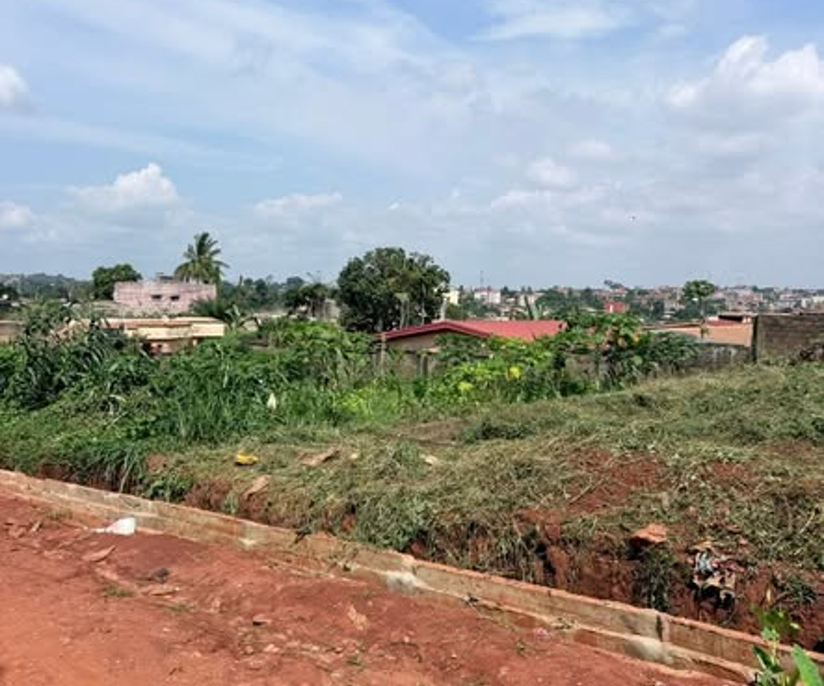 Terrain titré plat à vendre - Yaoundé Eleveur