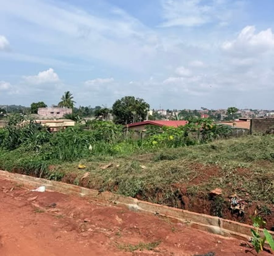 Terrain titré plat à vendre - Yaoundé Eleveur