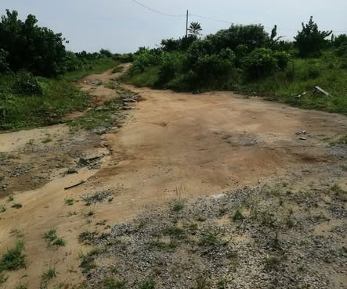 Terrain de 493 m² à vendre à Mbanga Bakoko (Douala Horizon)