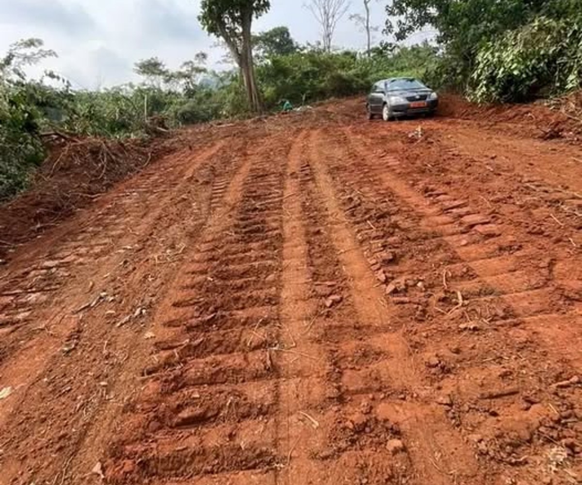 Terrain à vendre à Meyo – Essabi