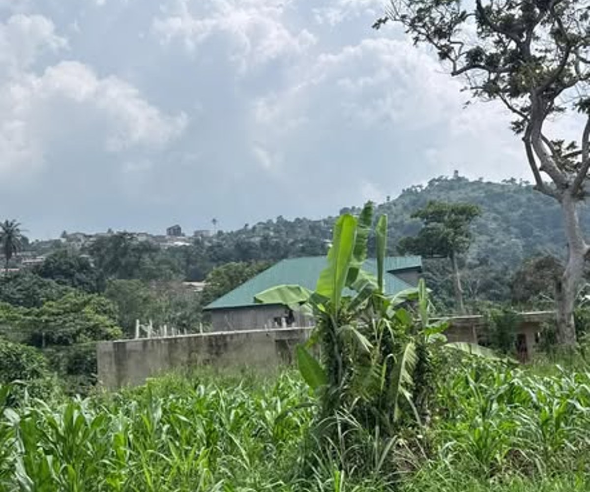 Terrain titré plat à vendre – Emana, Yaoundé