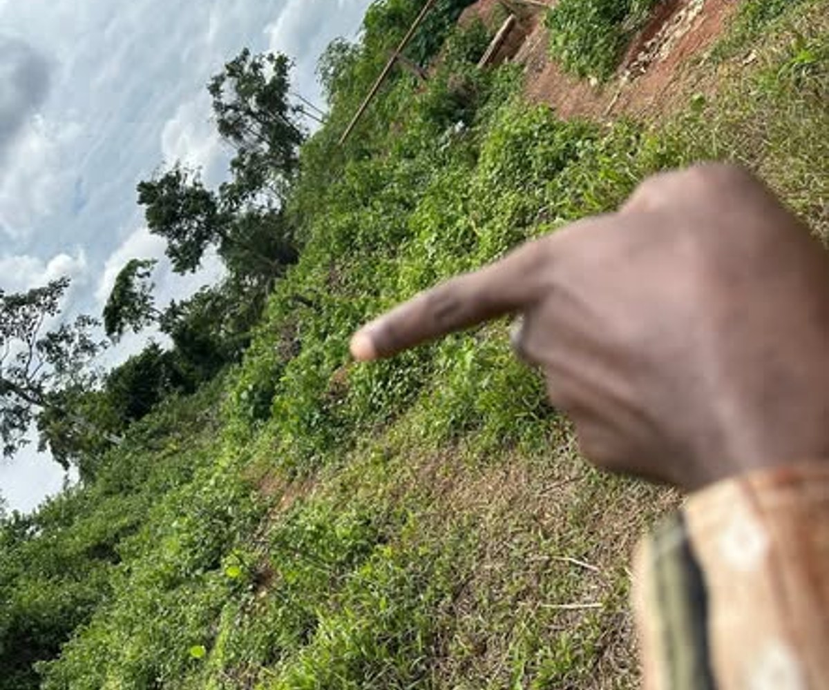 Terrain à vendre à Yaoundé Nkolfoulou