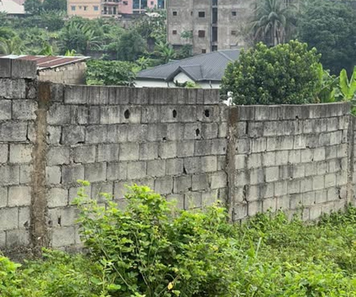 Terrain à vendre à Yassa (Douala) – 70 000 FCFA/m²