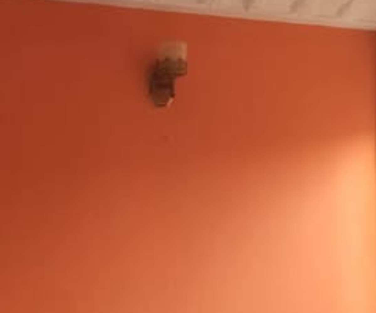 Appartement à louer Ahala – 120 000 FCFA/mois