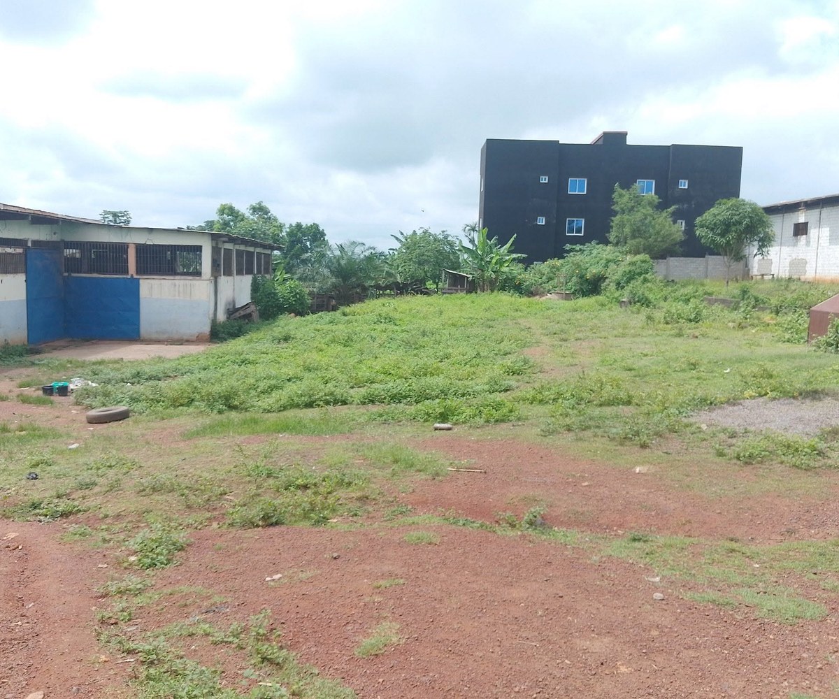 Entrepôt à louer - Yaoundé Tsinga Village