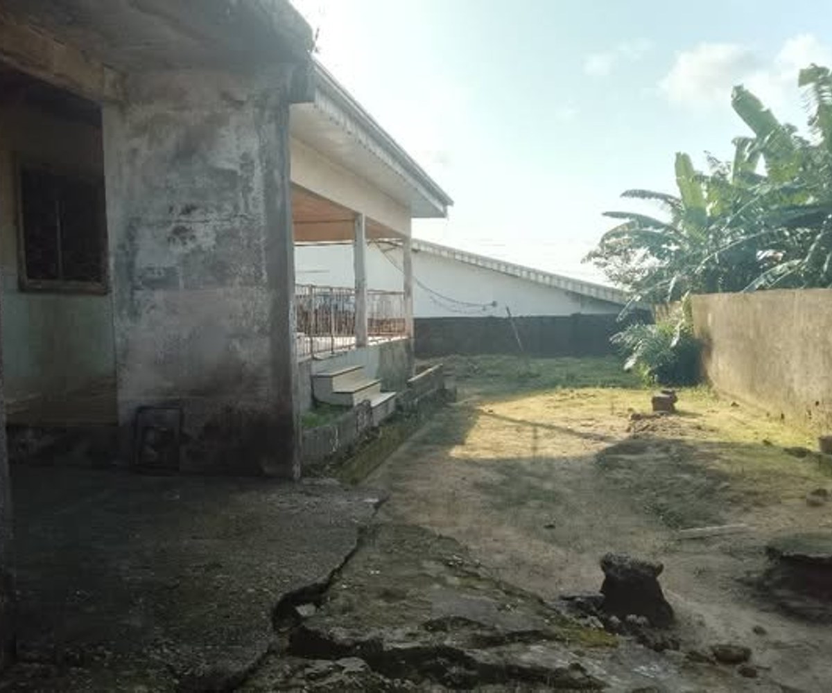Terrain titré à vendre - Ange Raphaël, Douala