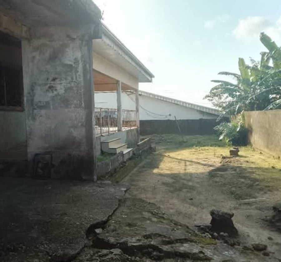 Terrain titré à vendre - Ange Raphaël, Douala
