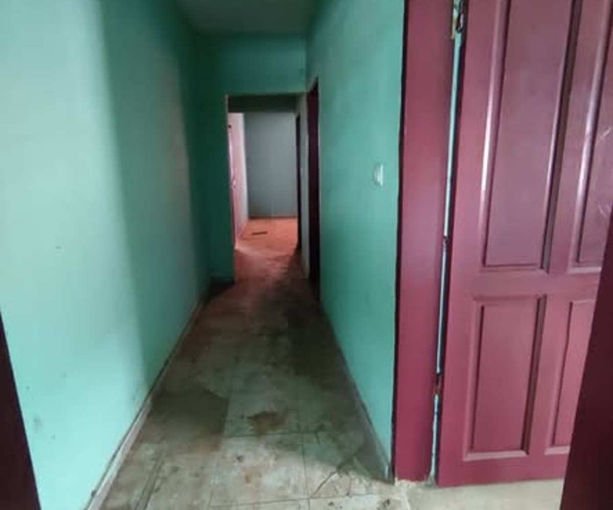 Vaste appartement moderne à louer Yaoundé Tradex Éleveur