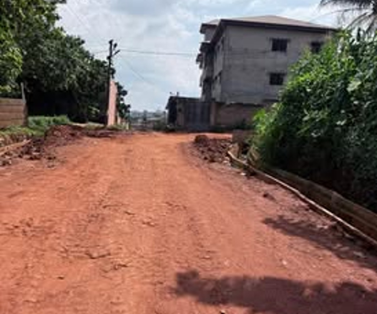Terrain titré plat à vendre - Eleveur, Yaoundé