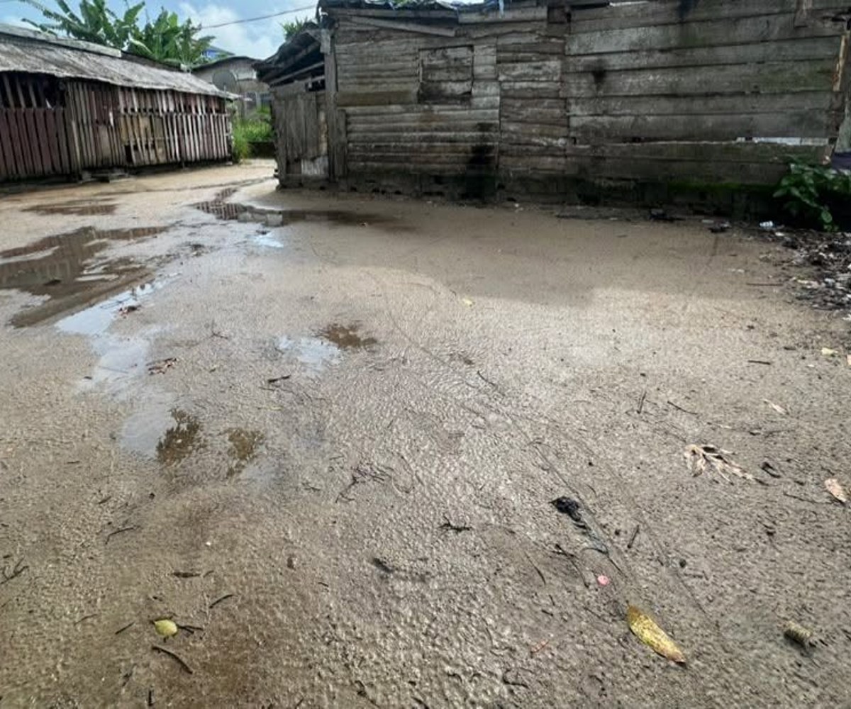 Terrain à vendre – Bonaberi, Douala