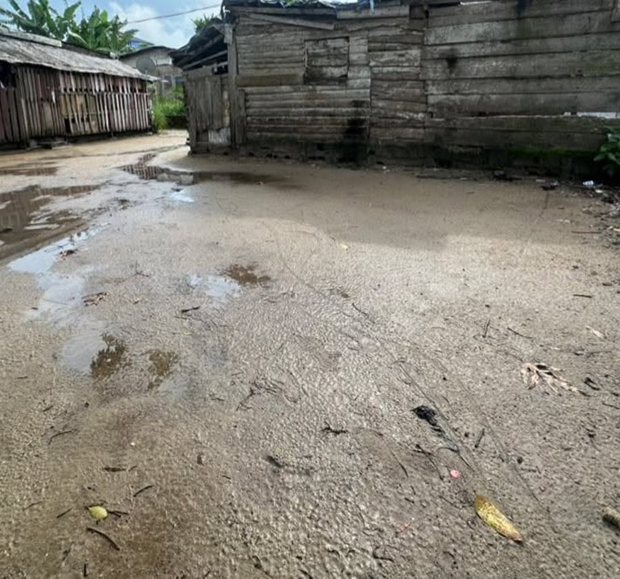 Terrain à vendre – Bonaberi, Douala